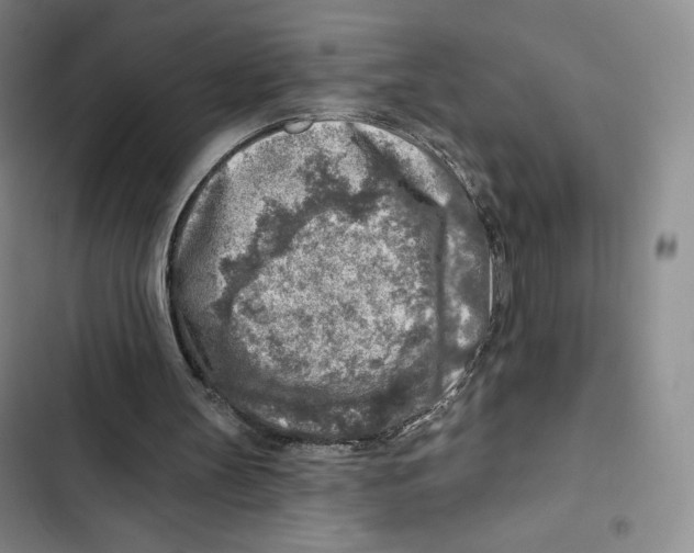 X0000102280147200808221313