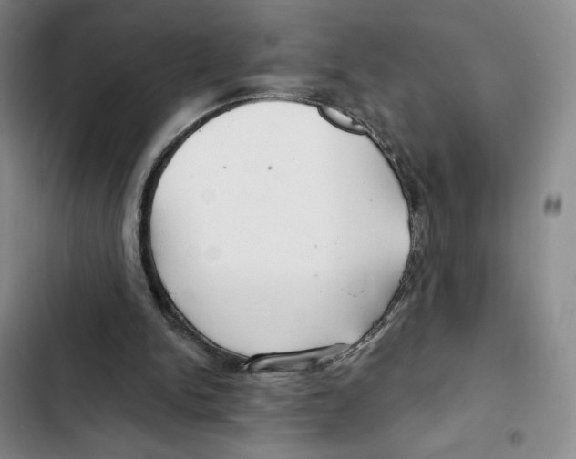 X0000102280150200808221313