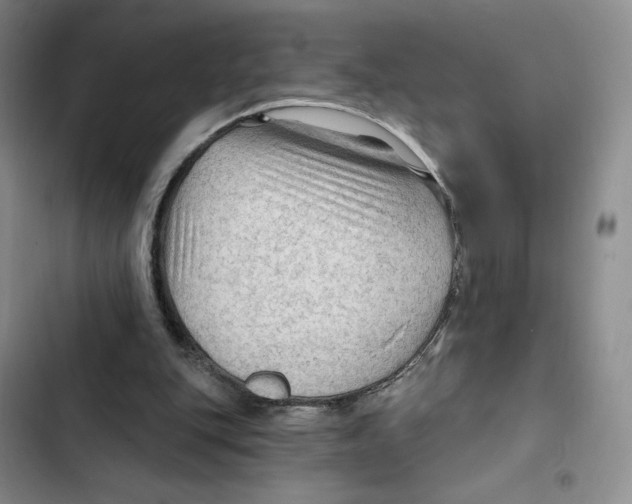 X0000102280151200808221313