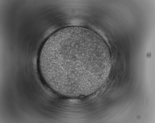 X0000102280154200808221313