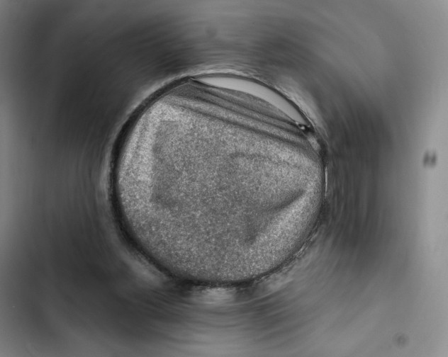 X0000102280156200808221313