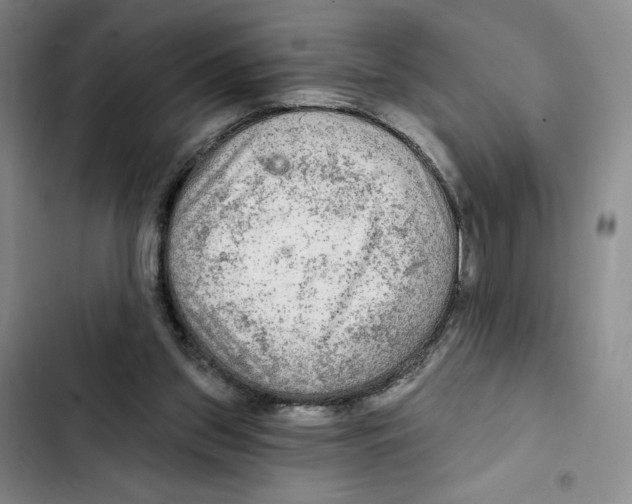 X0000102280157200808221313
