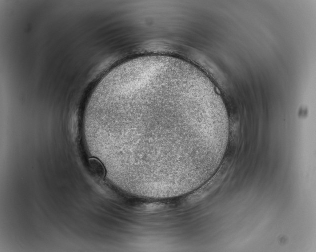 X0000102280158200808221313