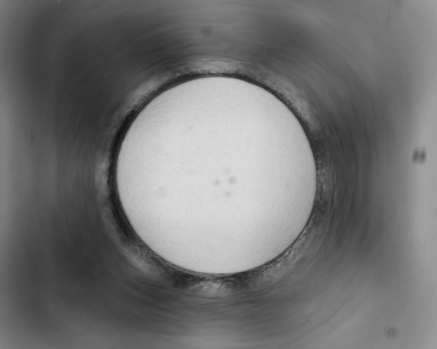 X0000102280159200808221313