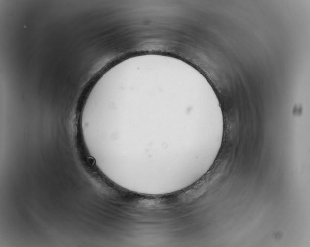 X0000102280160200808221313