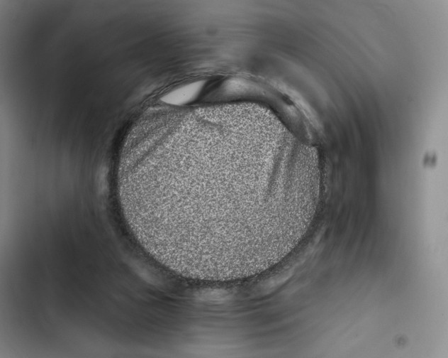X0000102280161200808221313