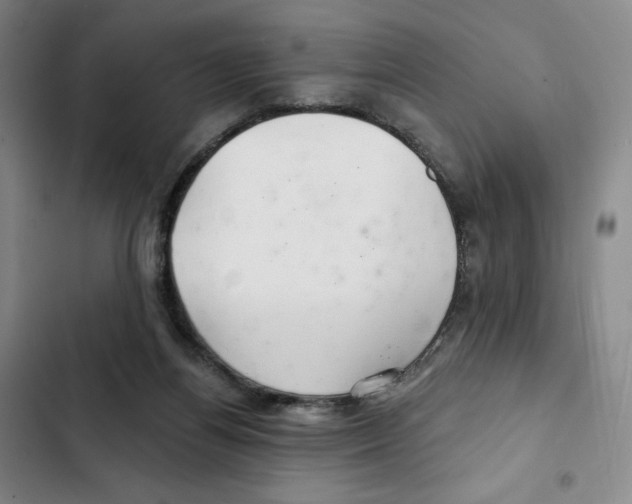 X0000102280164200808221313