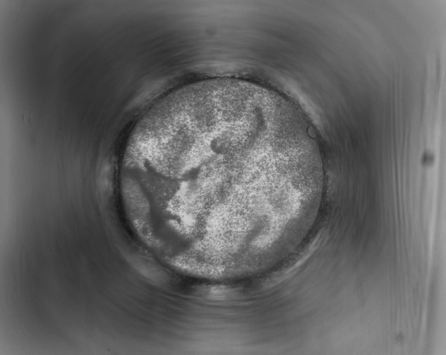 X0000102280165200808221313