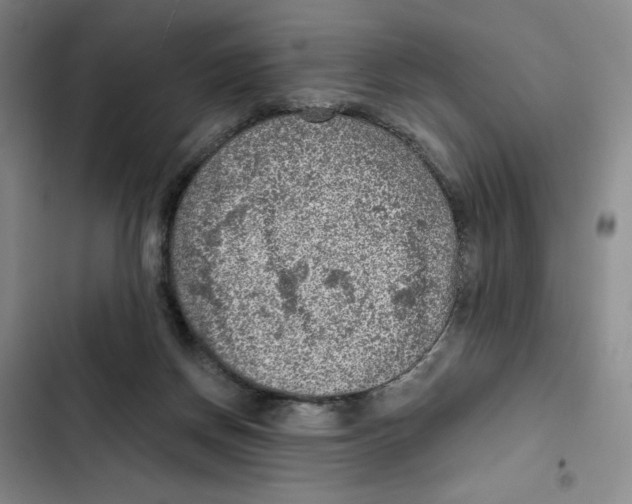 X0000102280166200808221313