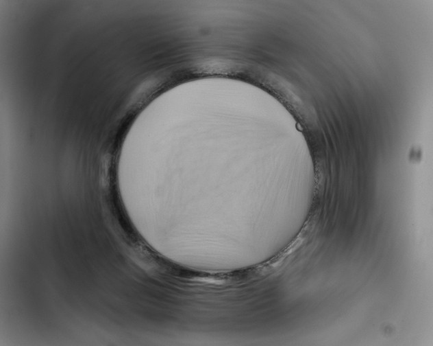 X0000102280167200808221313