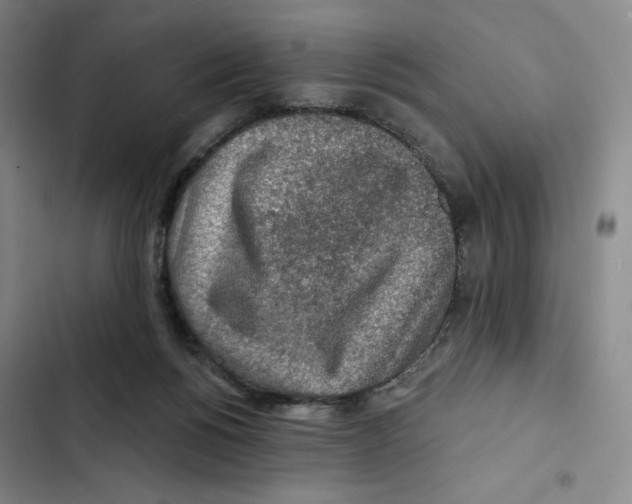 X0000102280168200808221313