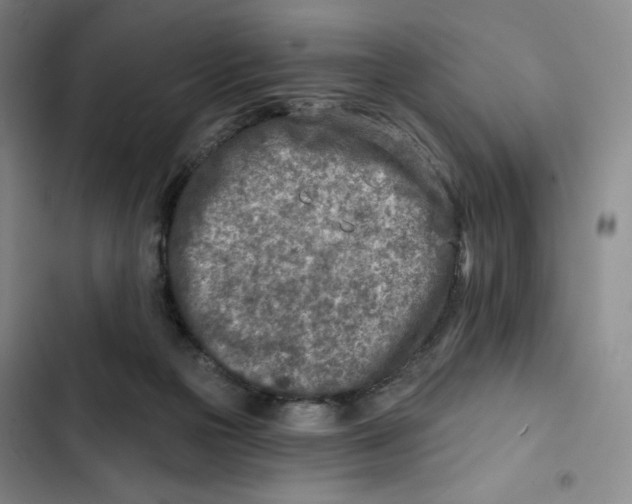 X0000102280169200808221313
