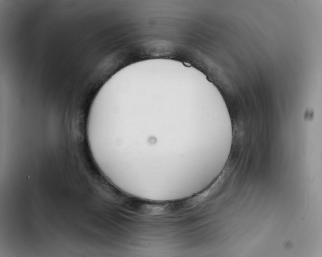 X0000102280170200808221313