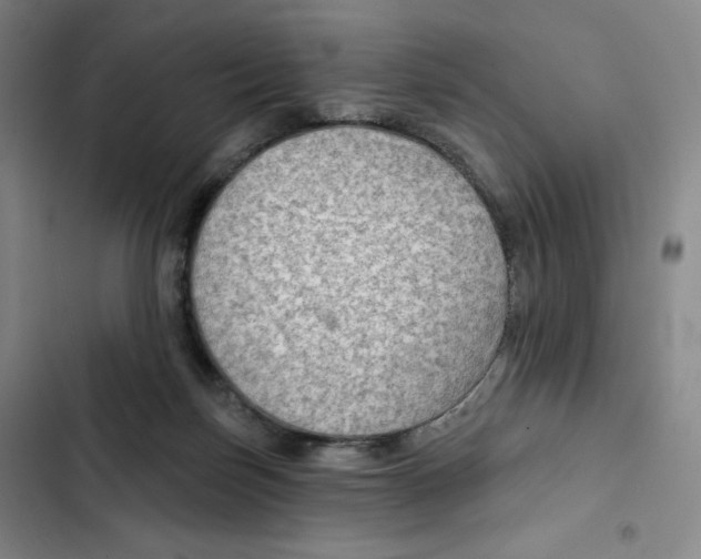 X0000102280171200808221313