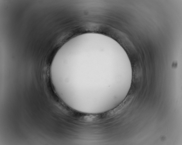 X0000102280172200808221313