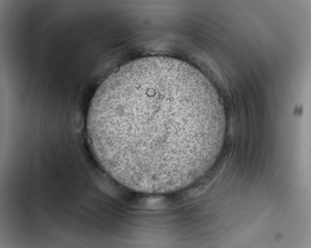 X0000102280173200808221313