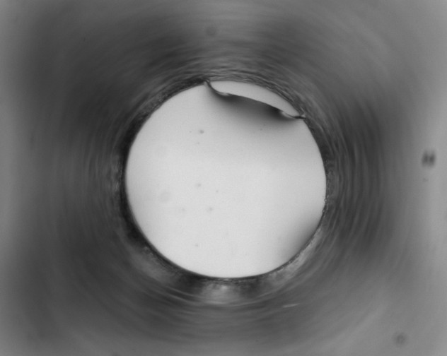 X0000102280174200808221313
