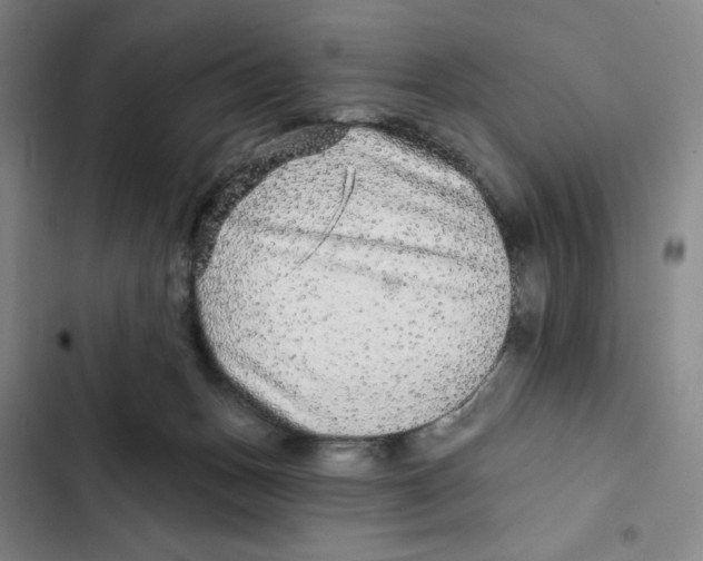 X0000102280175200808221313