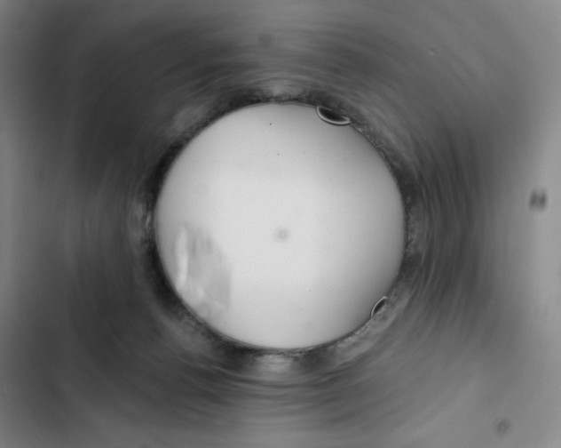 X0000102280176200808221313