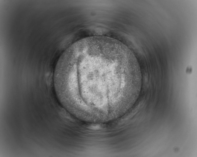 X0000102280177200808221313