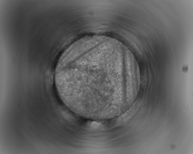 X0000102280180200808221313