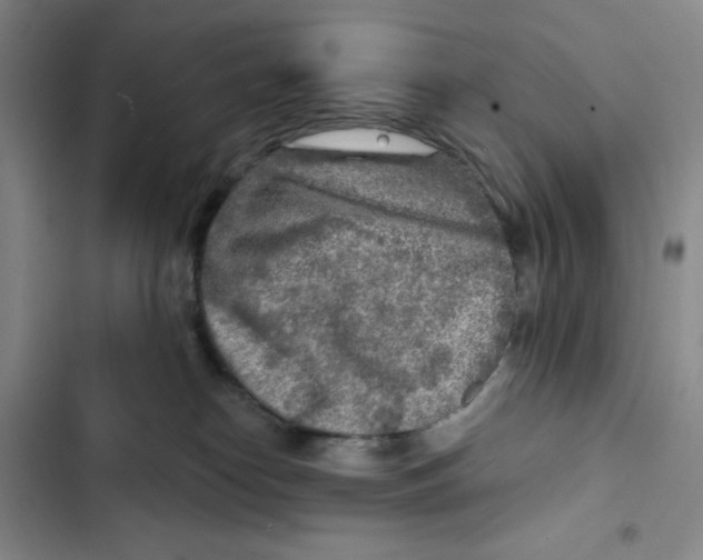 X0000102280182200808221313