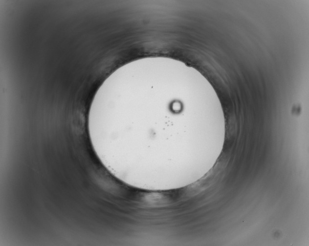X0000102280183200808221313
