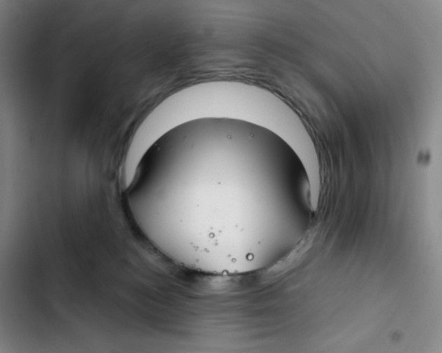 X0000102280184200808221313