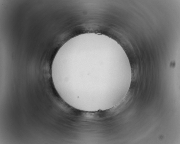 X0000102280187200808221313
