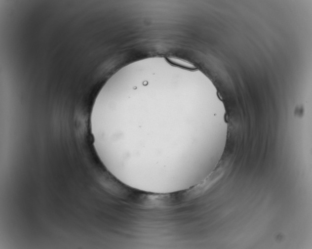 X0000102280188200808221313
