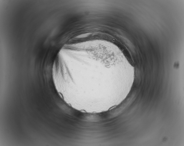 X0000102280189200808221313