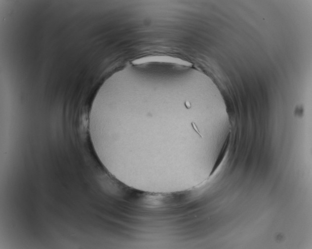 X0000102280190200808221313