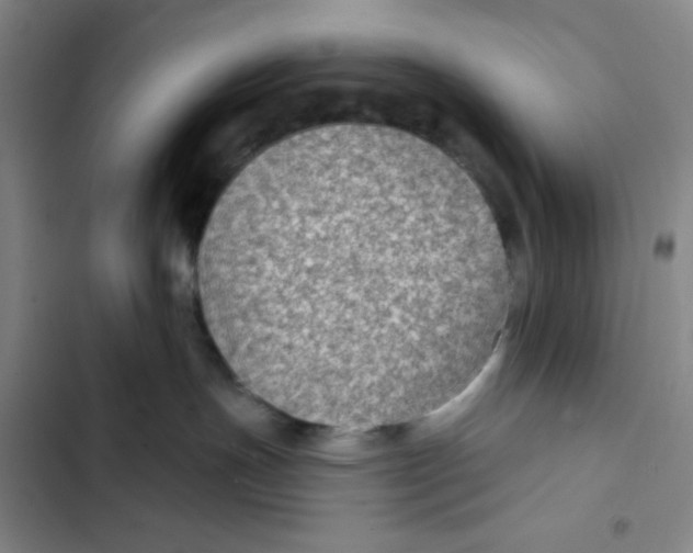 X0000102280191200808221313