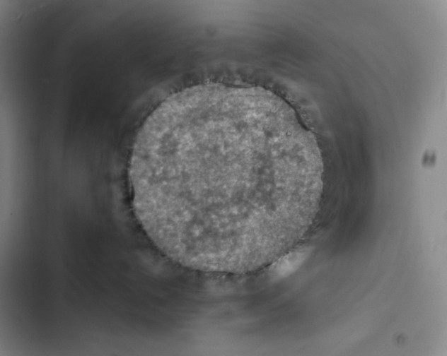 X0000102280192200808221313