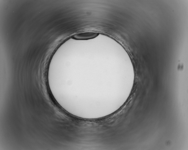 X0000102280193200808221313
