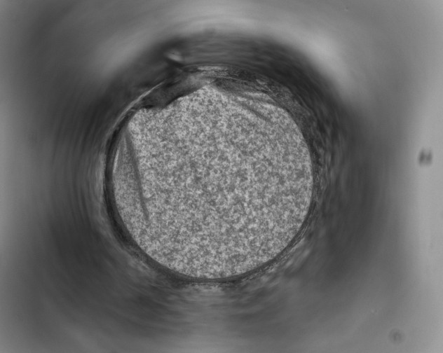 X0000102280194200808221313