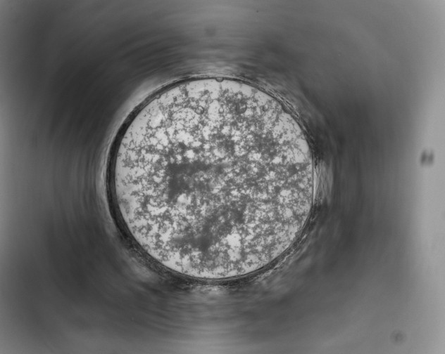 X0000102280195200808221313