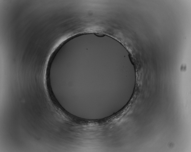 X0000102280196200808221313