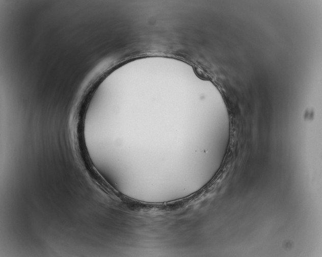 X0000102280197200808221313