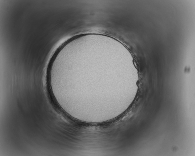 X0000102280200200808221312