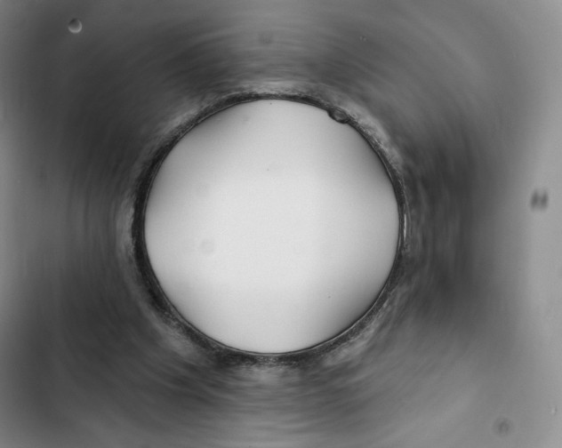 X0000102280201200808221312