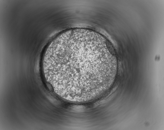 X0000102280203200808221312