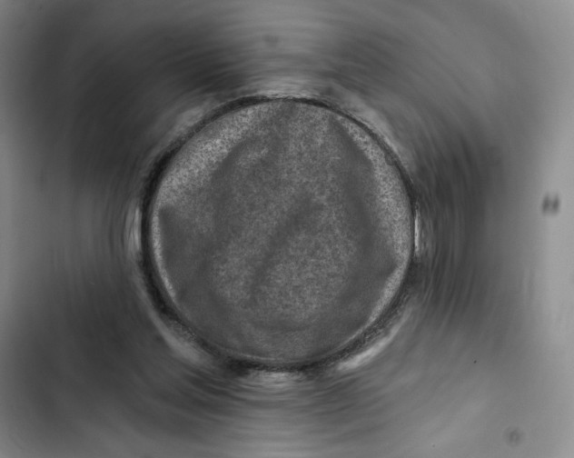 X0000102280205200808221312
