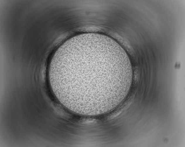 X0000102280206200808221312