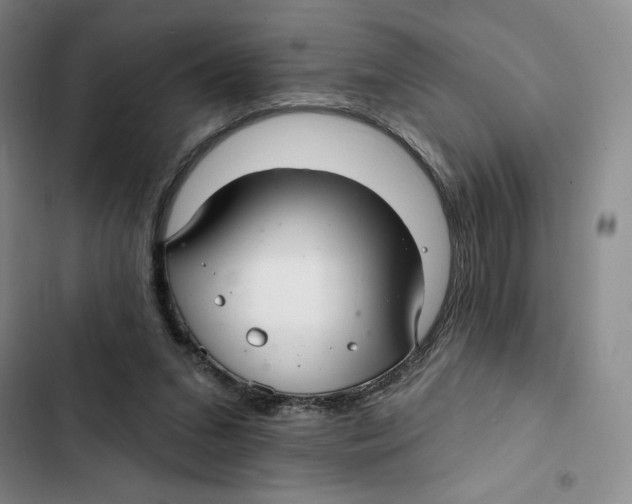 X0000102280207200808221312