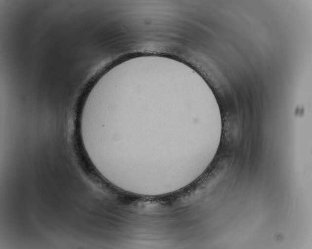 X0000102280208200808221312