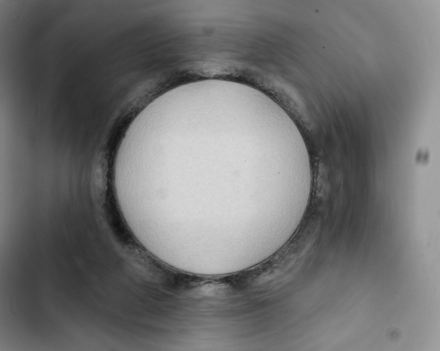 X0000102280210200808221312