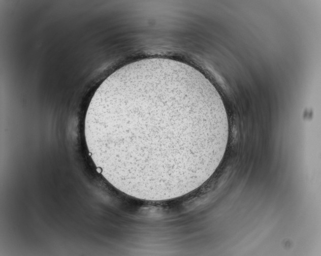X0000102280211200808221312