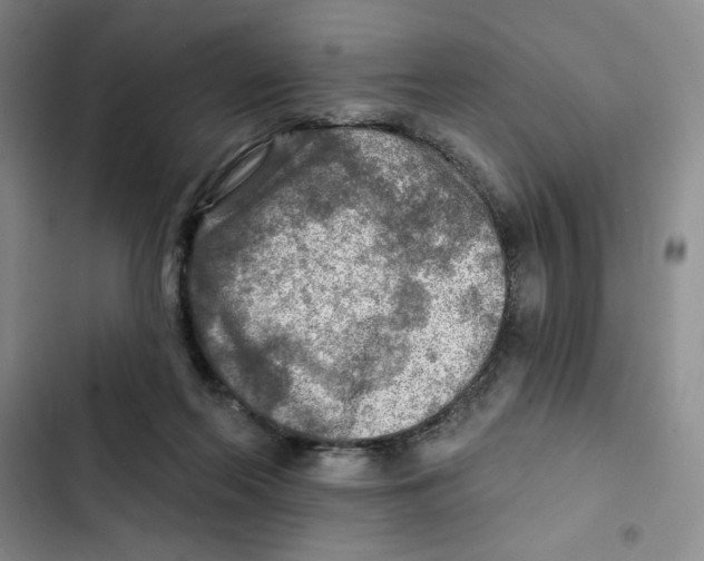 X0000102280214200808221312