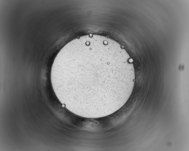 X0000102280215200808221312